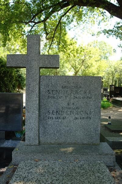Zdjęcie grobu Stanisław Senderacki (2)