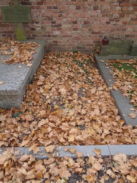 Zdjęcie grobu: Pole Grobowe