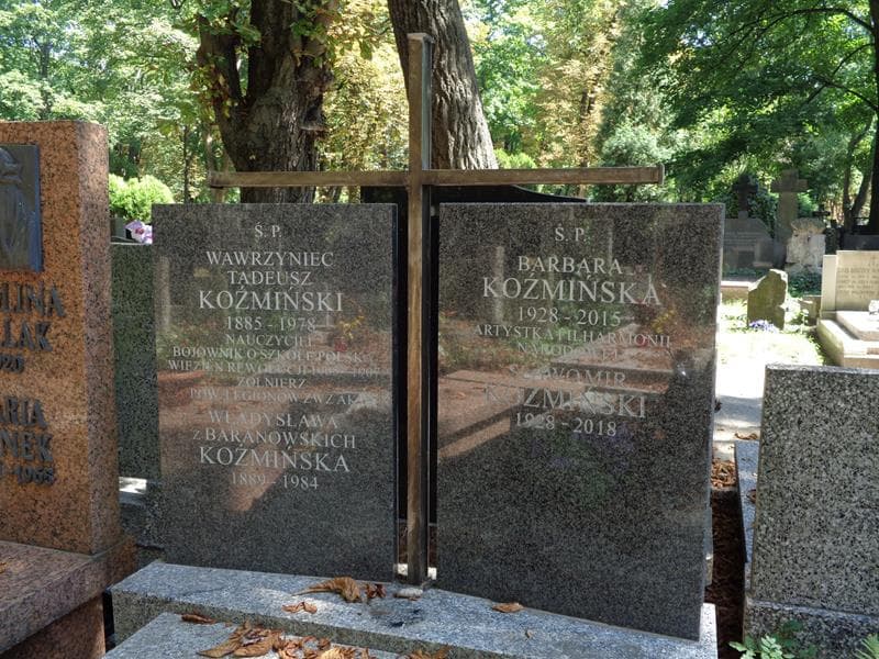 Zdjęcie grobu Wawrzyniec Tadeusz Koźmiński (2)
