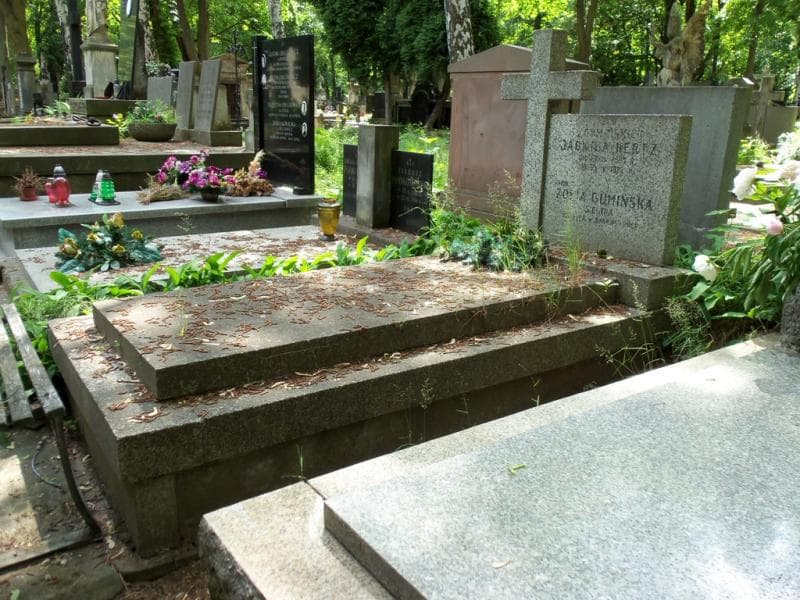 Zdjęcie grobu Jadwiga Hertz (1)