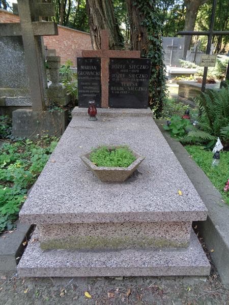 Zdjęcie grobu Józef Sieczko (1)