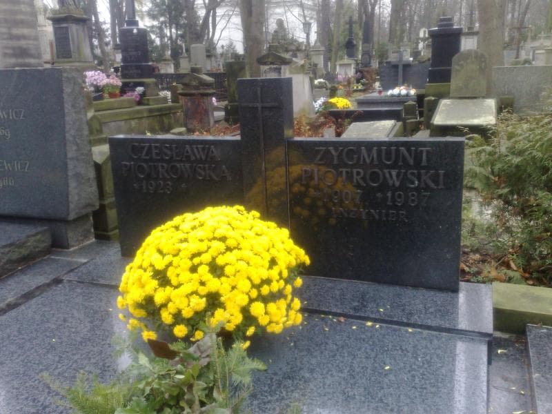 Zdjęcie grobu Zygmunt Piotrowski (1)