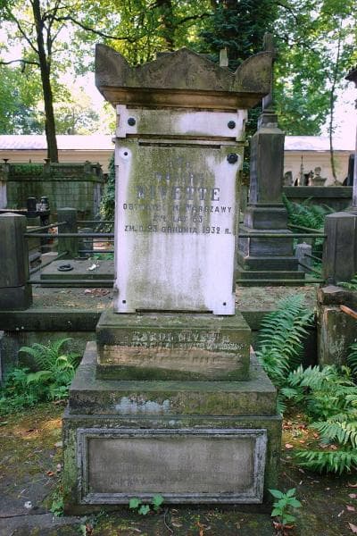 Zdjęcie grobu Julian Przezdziecki (2)