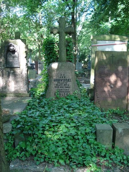 Zdjęcie grobu: Jan Lubowidzki