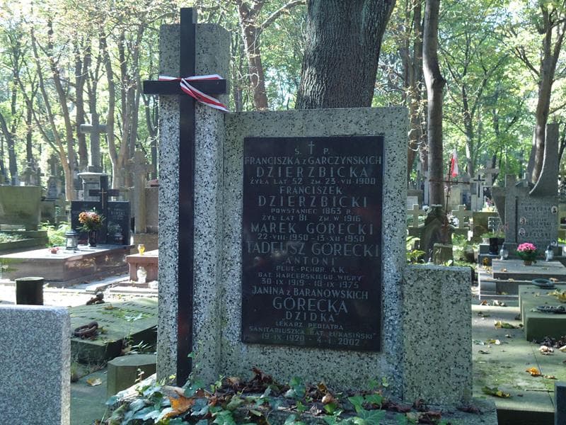 Zdjęcie grobu Marek Górecki (2)