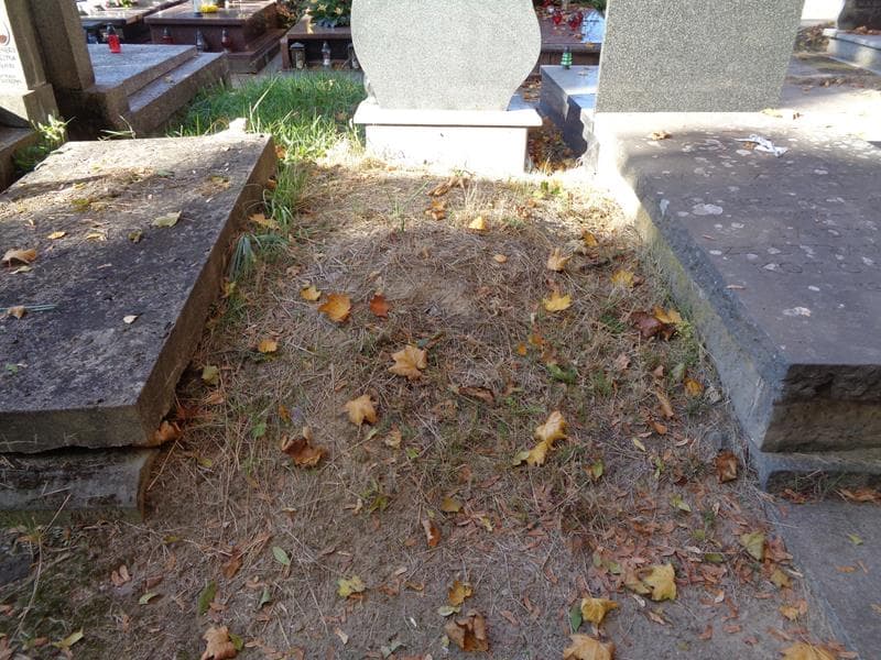 Zdjęcie grobu: Pole Grobowe