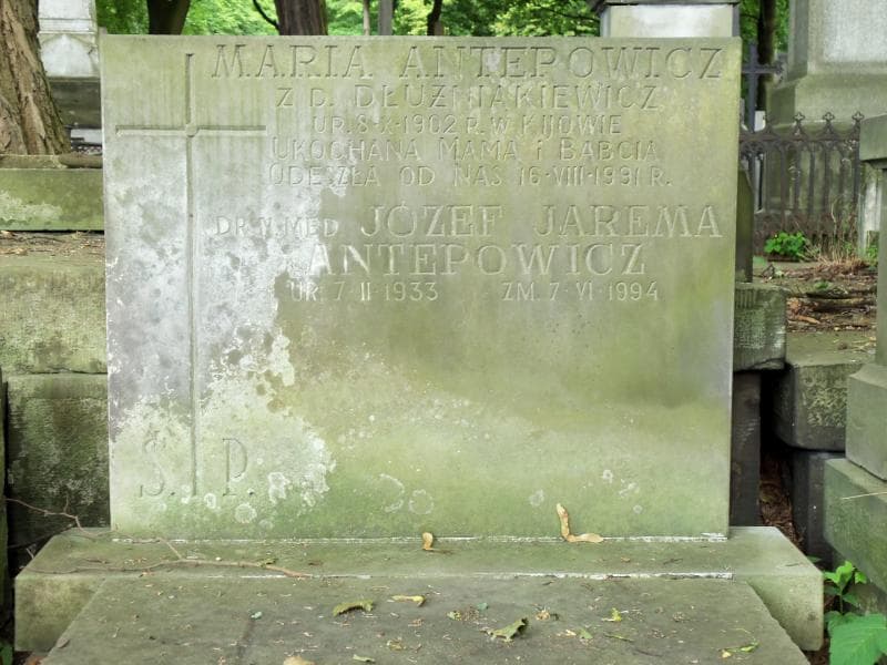 Zdjęcie grobu Maria Antepowicz (2)