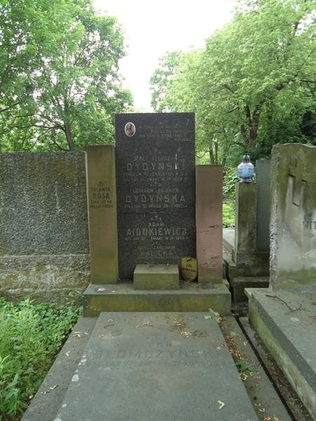 Zdjęcie grobu Adam Ajdukiewicz (2)