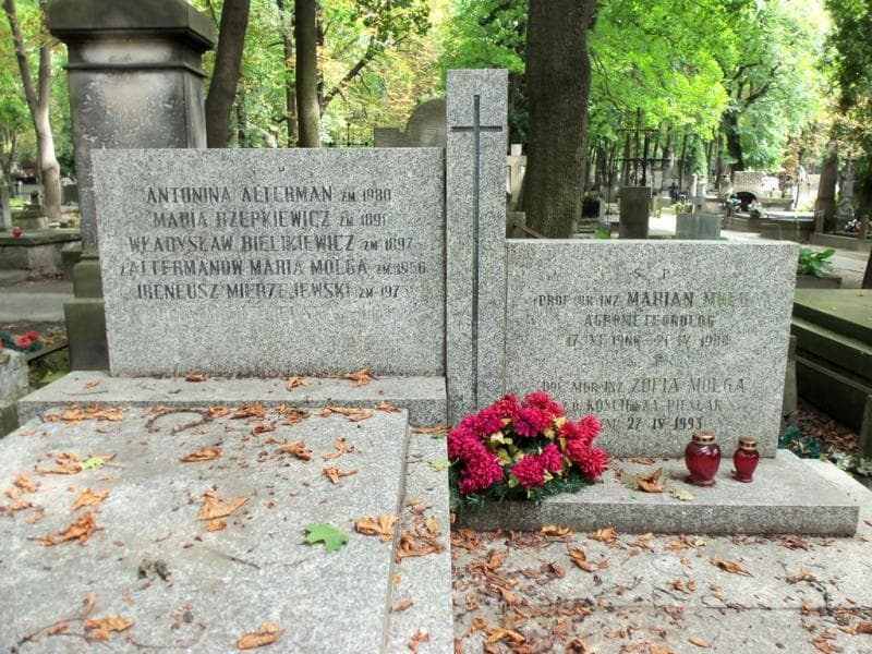 Zdjęcie grobu Antonina Alterman (2)