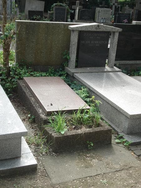 Zdjęcie grobu Henryk Mamroth (1)