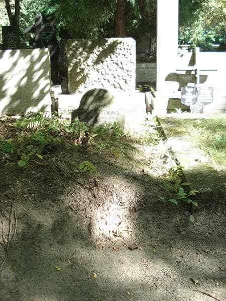 Zdjęcie grobu: Teresa Freytagowa