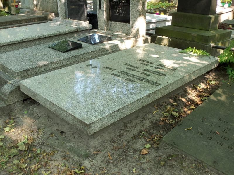 Zdjęcie grobu Jerzy Strzeszewski (2)