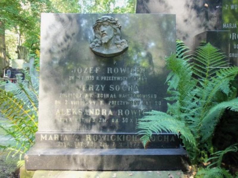Zdjęcie grobu Adolf Rowicki (1)