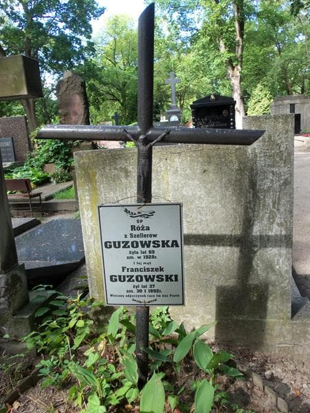 Zdjęcie grobu Róża Guzowska (2)