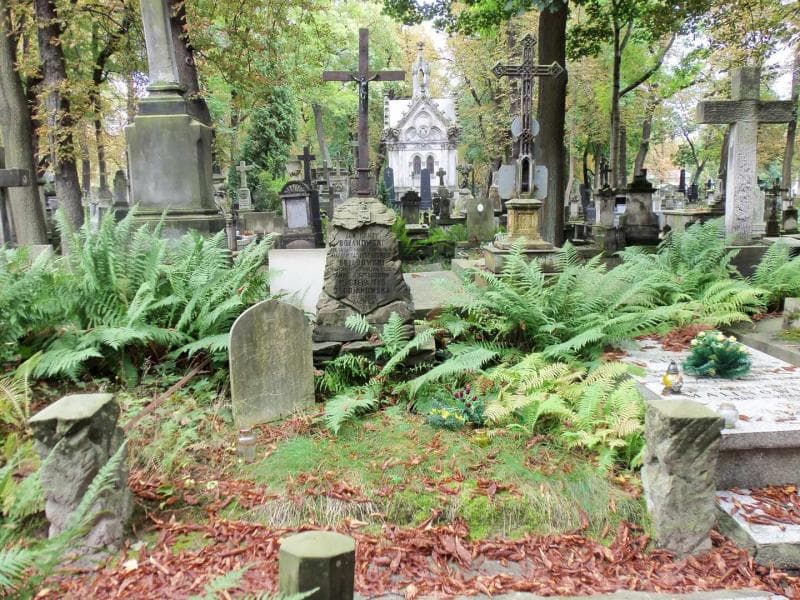 Zdjęcie grobu: Marian Przemysław Bojanowski