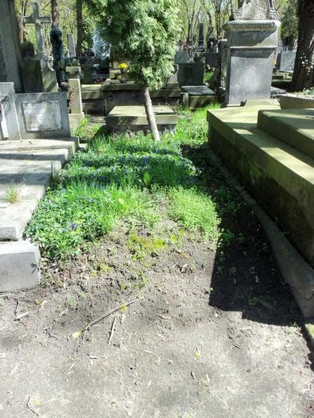 Zdjęcie grobu: Pole Grobowe