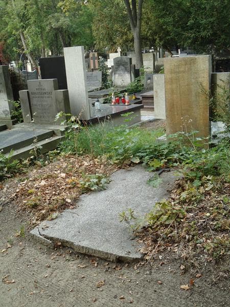 Zdjęcie grobu Antoni Leśniczak (1)