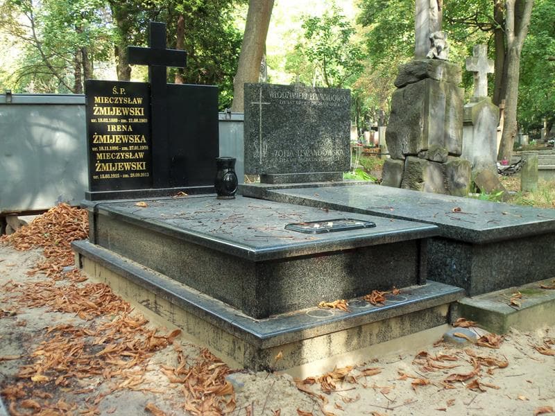 Zdjęcie grobu Mieczysław Żmijewski (1)