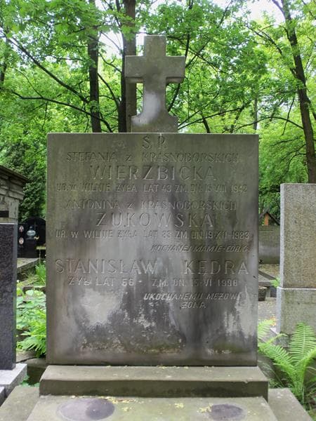 Zdjęcie grobu Antonina Żukowska (2)