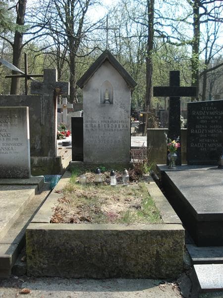 Zdjęcie grobu: Mieczysław Jan Kwasieborski
