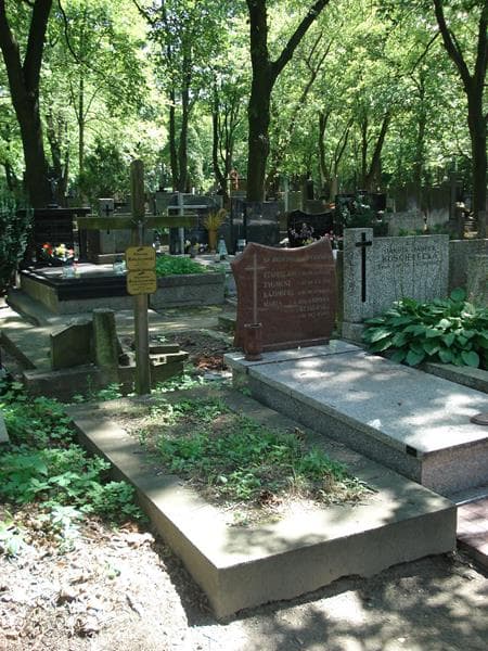 Zdjęcie grobu Wincenty Rościszewski (1)