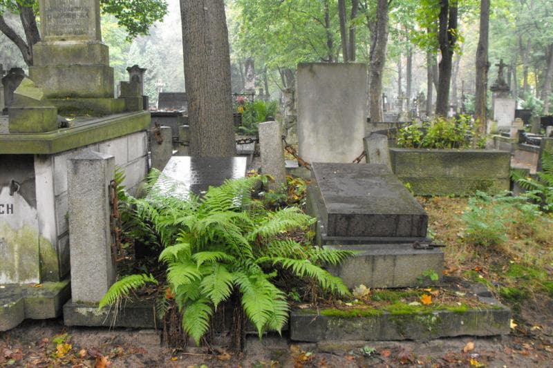 Zdjęcie grobu: Ida Pomorceff