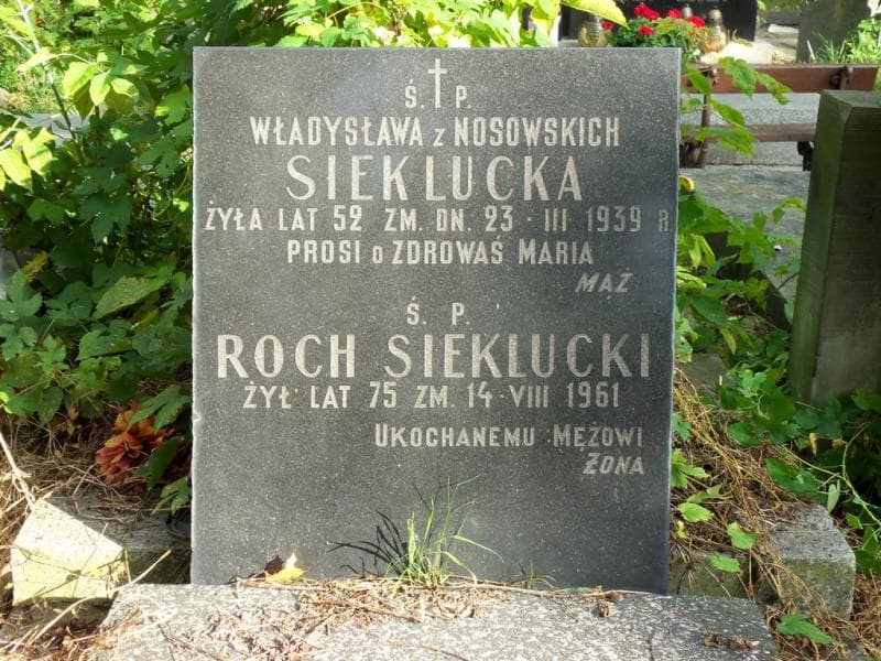 Zdjęcie grobu Władysława Sieklucka (2)