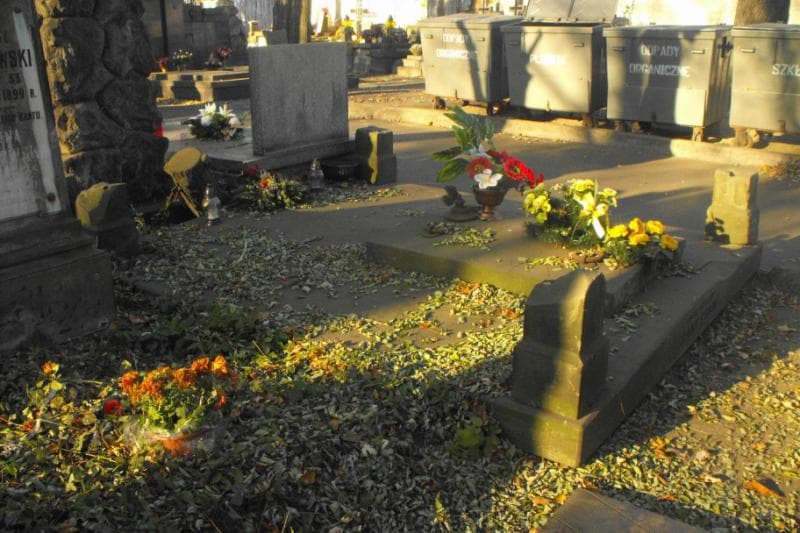Zdjęcie grobu Hanuszowie (1)