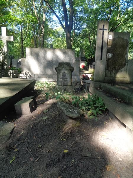 Zdjęcie grobu Anna Kozłowska (1)