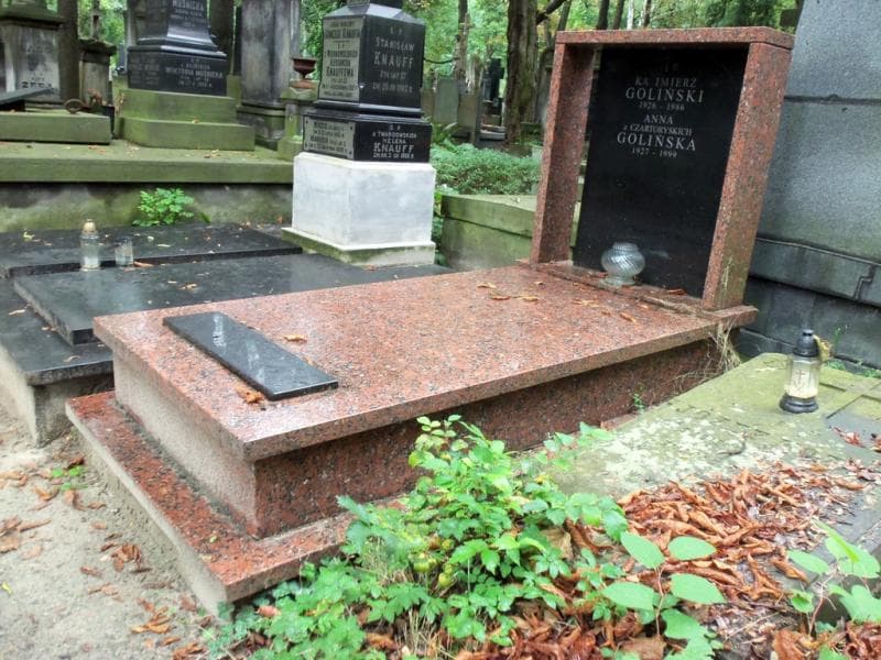 Zdjęcie grobu Kazimierz Goliński (1)
