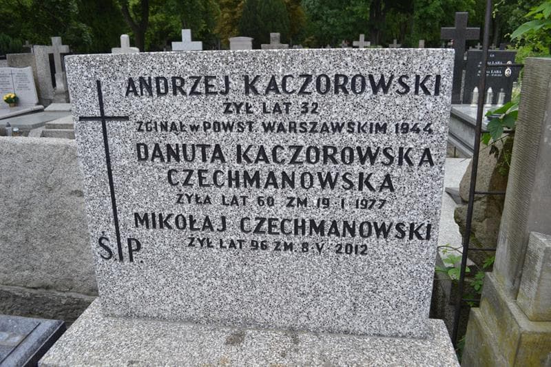 Zdjęcie grobu Mikołaj Czechmanowski (2)