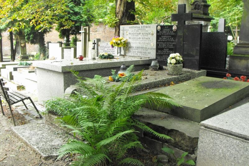 Zdjęcie grobu Józef Słojewski (1)