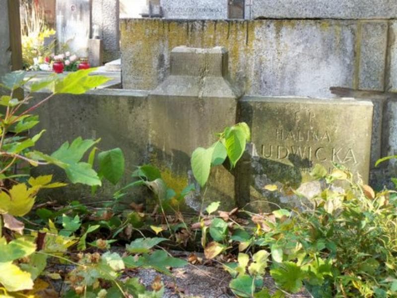 Zdjęcie grobu Halina Ludwicka (2)