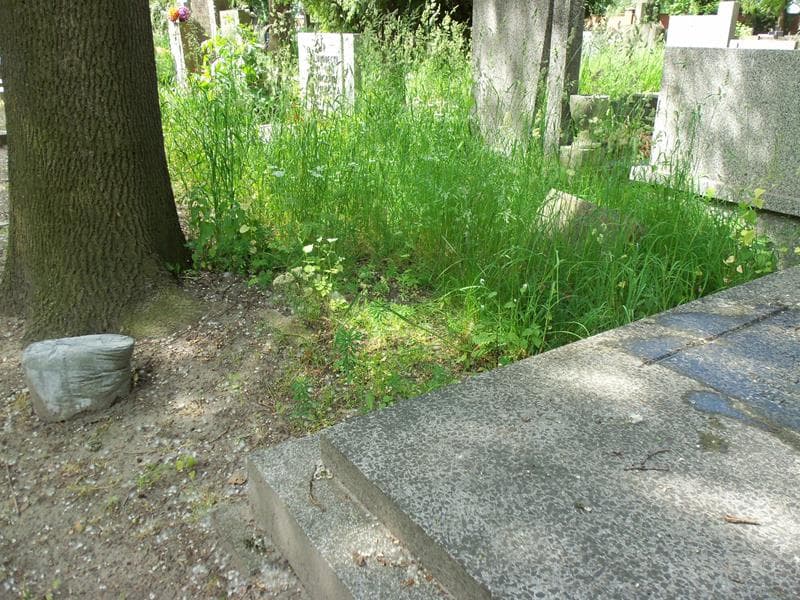 Zdjęcie grobu Jan Odrowąż Pieniążek (1)