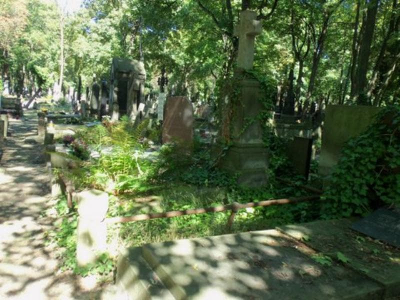 Zdjęcie grobu Eugenia Janina Jakubowska (1)