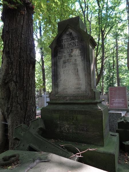 Zdjęcie grobu Antoni Dębski (2)