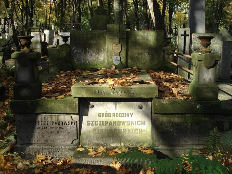 Zdjęcie grobu: Antoni Ciborowski