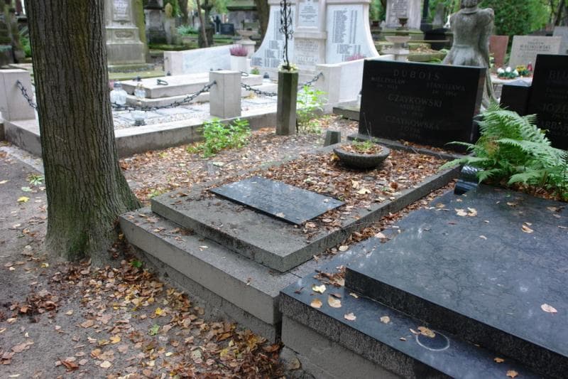 Zdjęcie grobu Andrzej Czaykowski (1)
