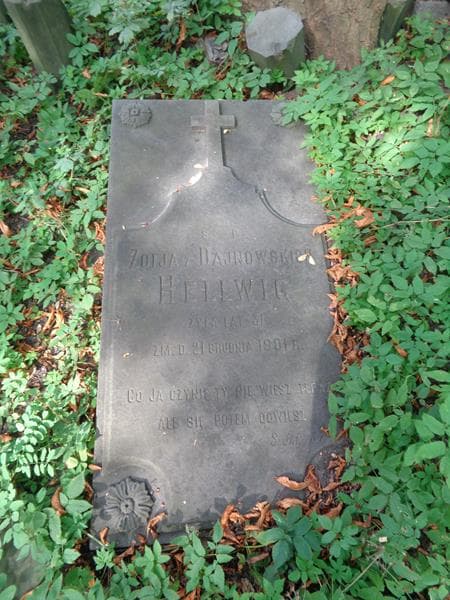 Zdjęcie grobu Zofja Hellwig (2)