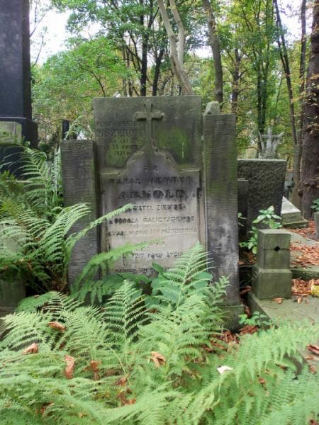 Zdjęcie grobu Rafał Henryk Arnold (2)