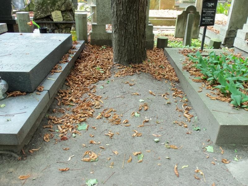 Zdjęcie grobu: Pole Grobowe