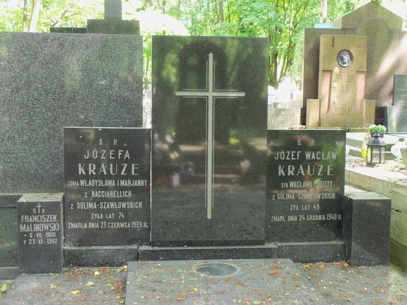 Zdjęcie grobu Franciszek Malinowski (2)