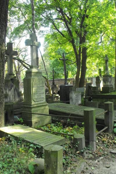 Zdjęcie grobu Juljusz Jeleńkowski (1)