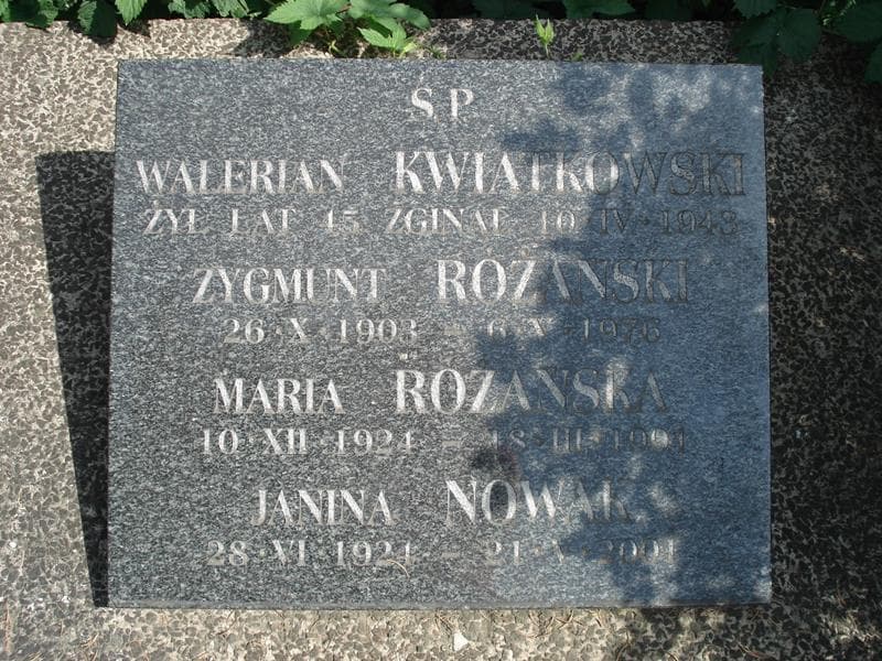 Zdjęcie grobu Janina Nowak (1)