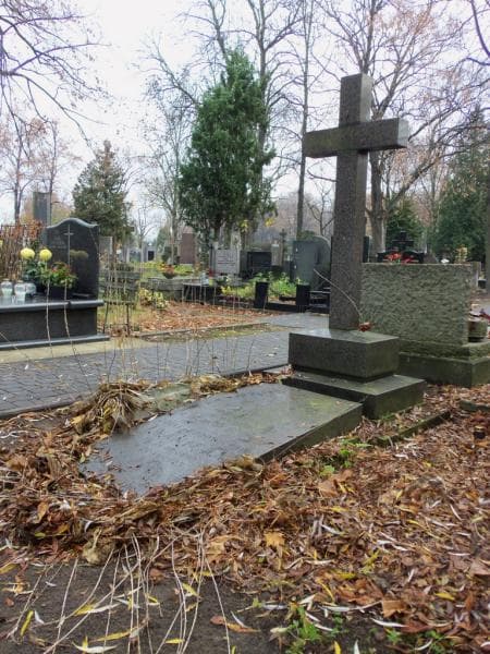 Zdjęcie grobu Zofia Iwanicka (1)