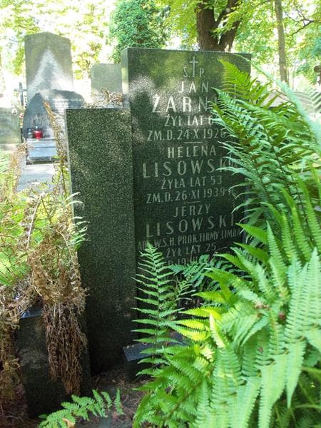 Zdjęcie grobu Helena Lisowska (2)