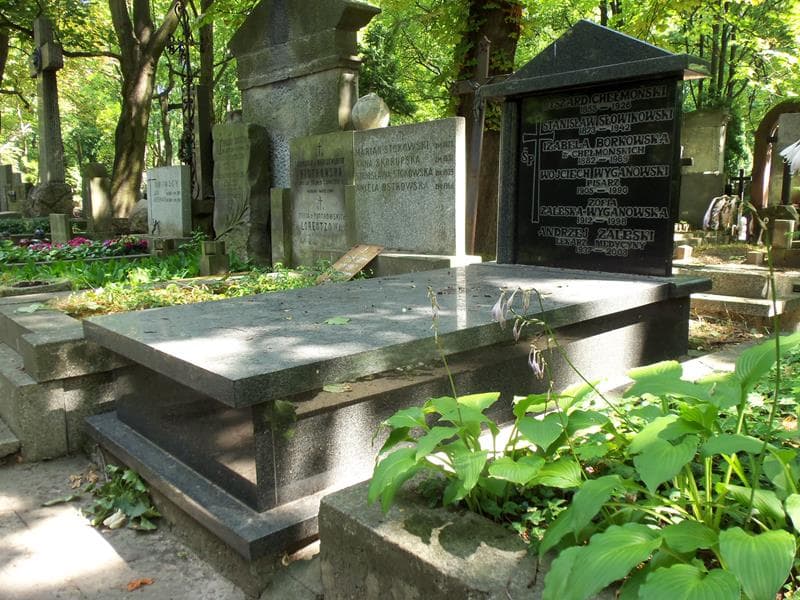 Zdjęcie grobu Wojciech Wyganowski (1)