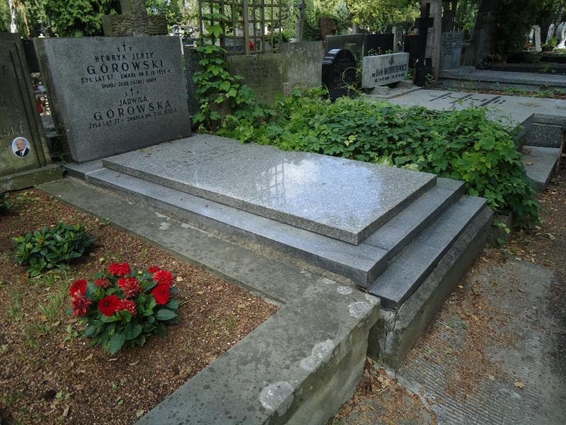 Zdjęcie grobu Henryk Jerzy Górowski (1)