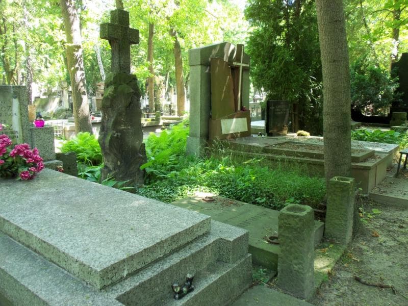 Zdjęcie grobu Róża Rzeszotarska (1)