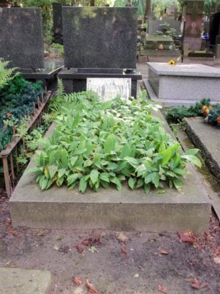 Zdjęcie grobu: Zofia Bobińska